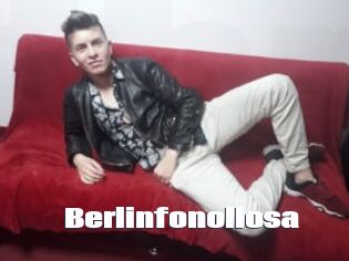 Berlinfonollosa
