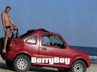 BerryBoy