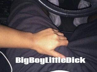 BigBoyLittleDick