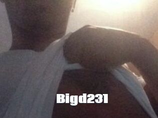 Bigd231