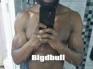 Bigdbull