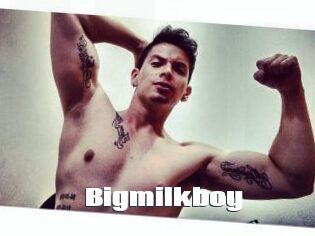 Bigmilkboy