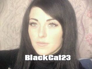 BlackCat23