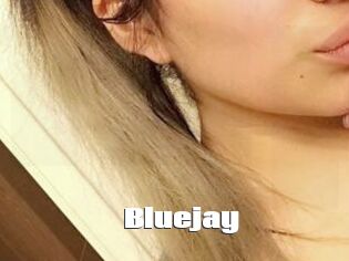 Blue_jay