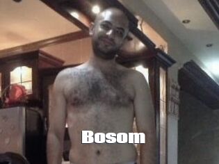 Bosom