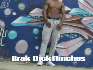 Brak_Dick11inches