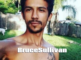 Bruce_Sullivan