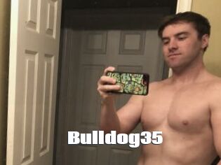 Bulldog35