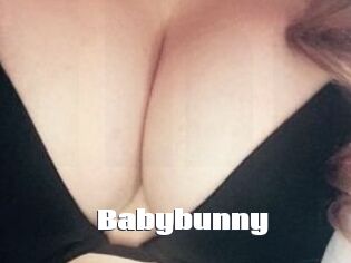 Baby_bunny