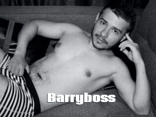 Barryboss