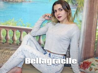 Bellagracile