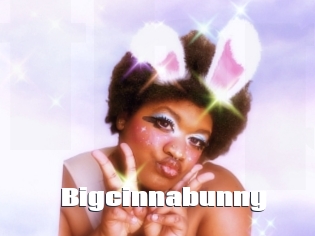 Bigcinnabunny