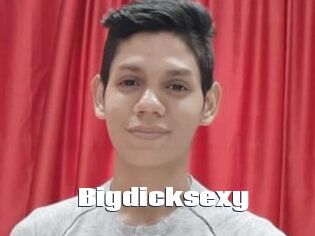 Bigdicksexy