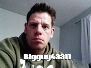 Bigguy43311