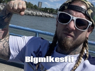 Bigmikesfit