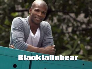 Blacklatinbear