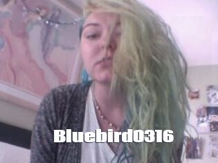 Bluebird0316