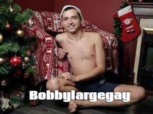 Bobbylargegay