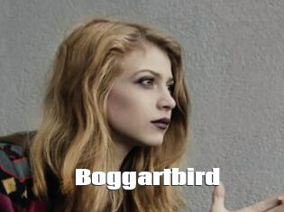 Boggartbird