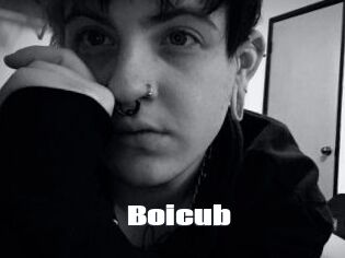 Boicub