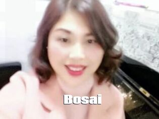 Bosai