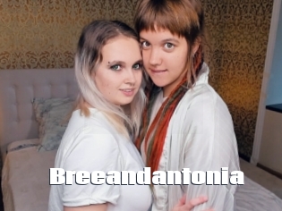 Breeandantonia