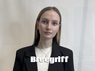 Breegriff