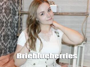 Brieblueberries
