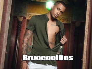 Brucecollins