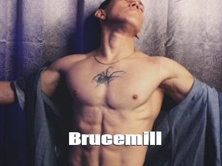 Brucemill