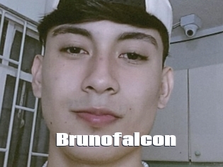 Brunofalcon