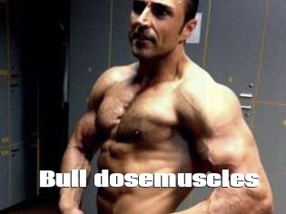 Bull_dosemuscles