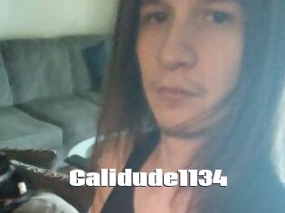 Calidude1134