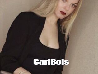 CariBois