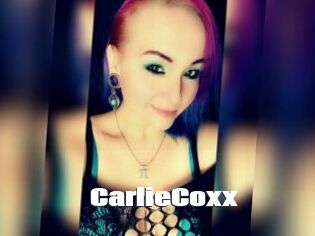 CarlieCoxx