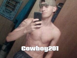 Cowboy201