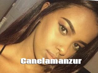 Canelamanzur