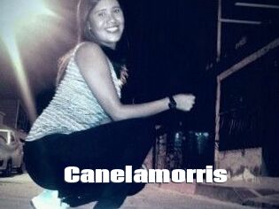 Canelamorris