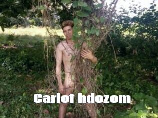 Carlot_hdozom