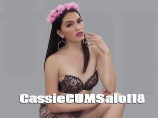 CassieCUMSalot18