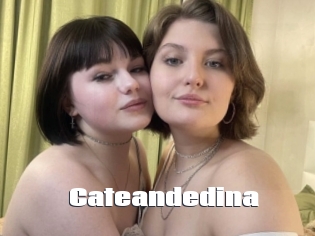 Cateandedina