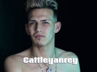 Cattleyanrey