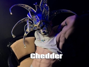 Chedder