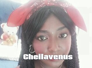 Cheilavenus