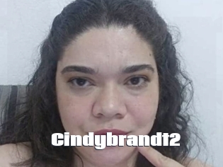 Cindybrandt2