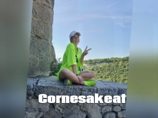 Cornesakeat