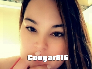 Cougar816