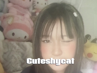 Cuteshycat