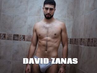 DAVID_ZANAS