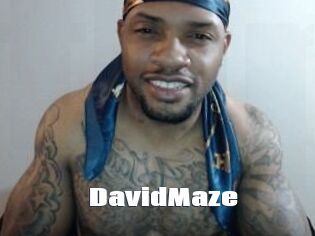 David_Maze